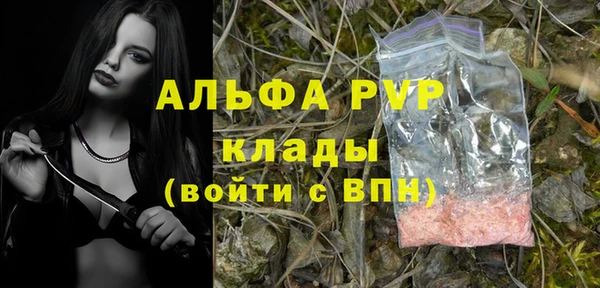 мяу мяу мука Белокуриха
