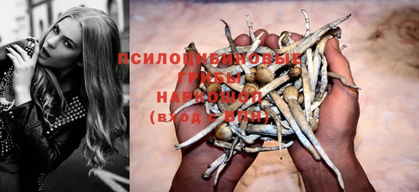 мяу мяу мука Белокуриха