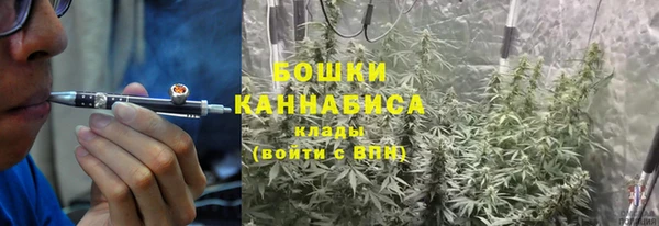 мяу мяу мука Белокуриха