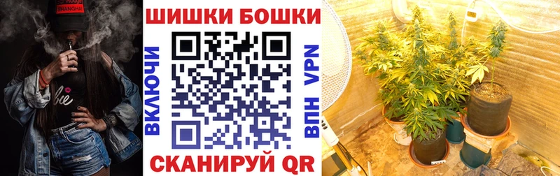 Конопля OG Kush  Кукмор 